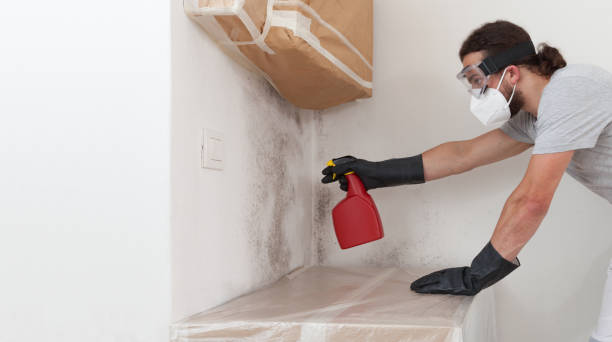 Professional Attic Mold Remediation technician working in Mattawan, MI